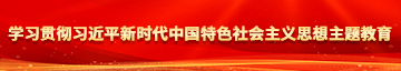 国内美女名模操逼片免费看学习贯彻习近平新时代中国特色社会主义思想主题教育